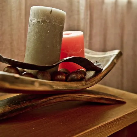 Zierlinger Πανσιόν 3*