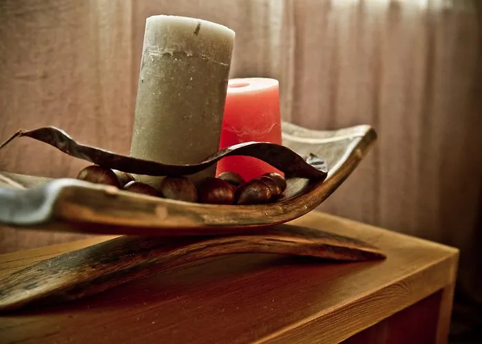 Zierlinger Gæstehus 3*