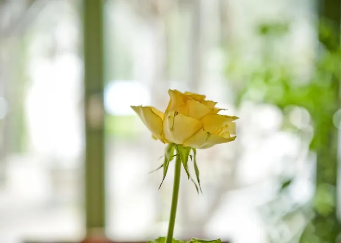 Gæstehus Zierlinger 3*